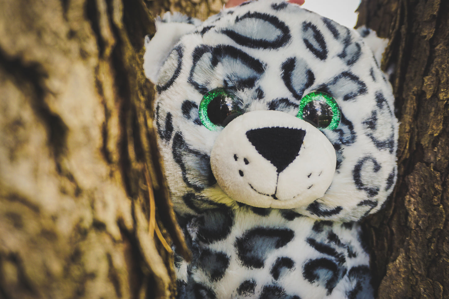 A soft 16” plush snow leopard stuffy close up with its sparkly green eyes in a tree wedge. *Comes unstuffed.