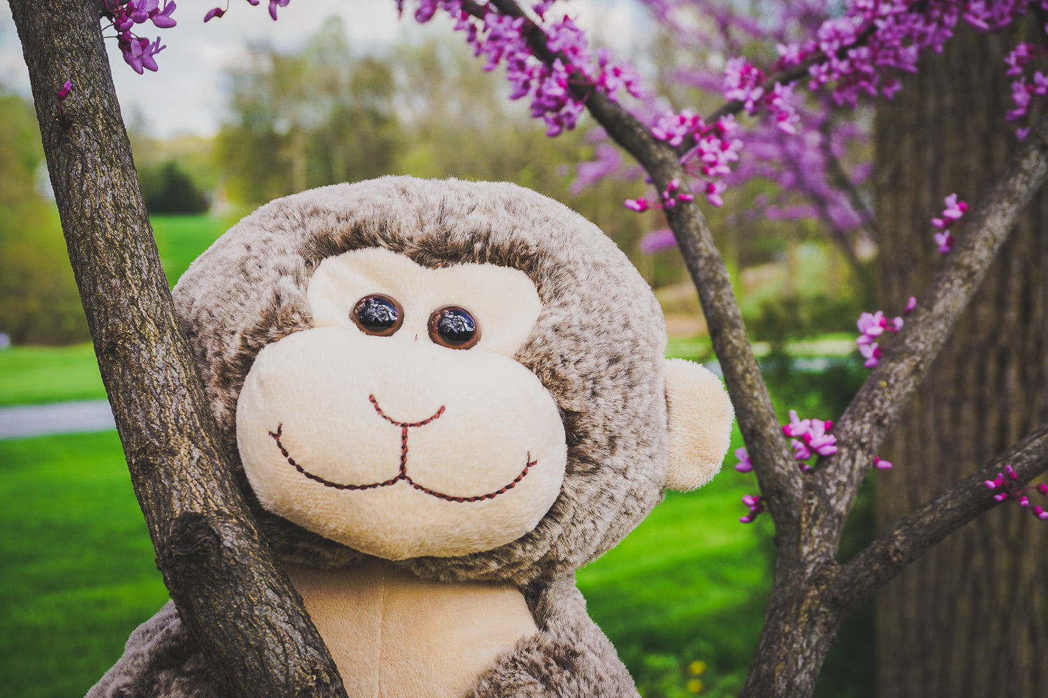 A soft, furry 16” soft plush happy monkey stuffy in a skinny tree with purple blooms - more trees and green grass for the background. *Comes unstuffed.