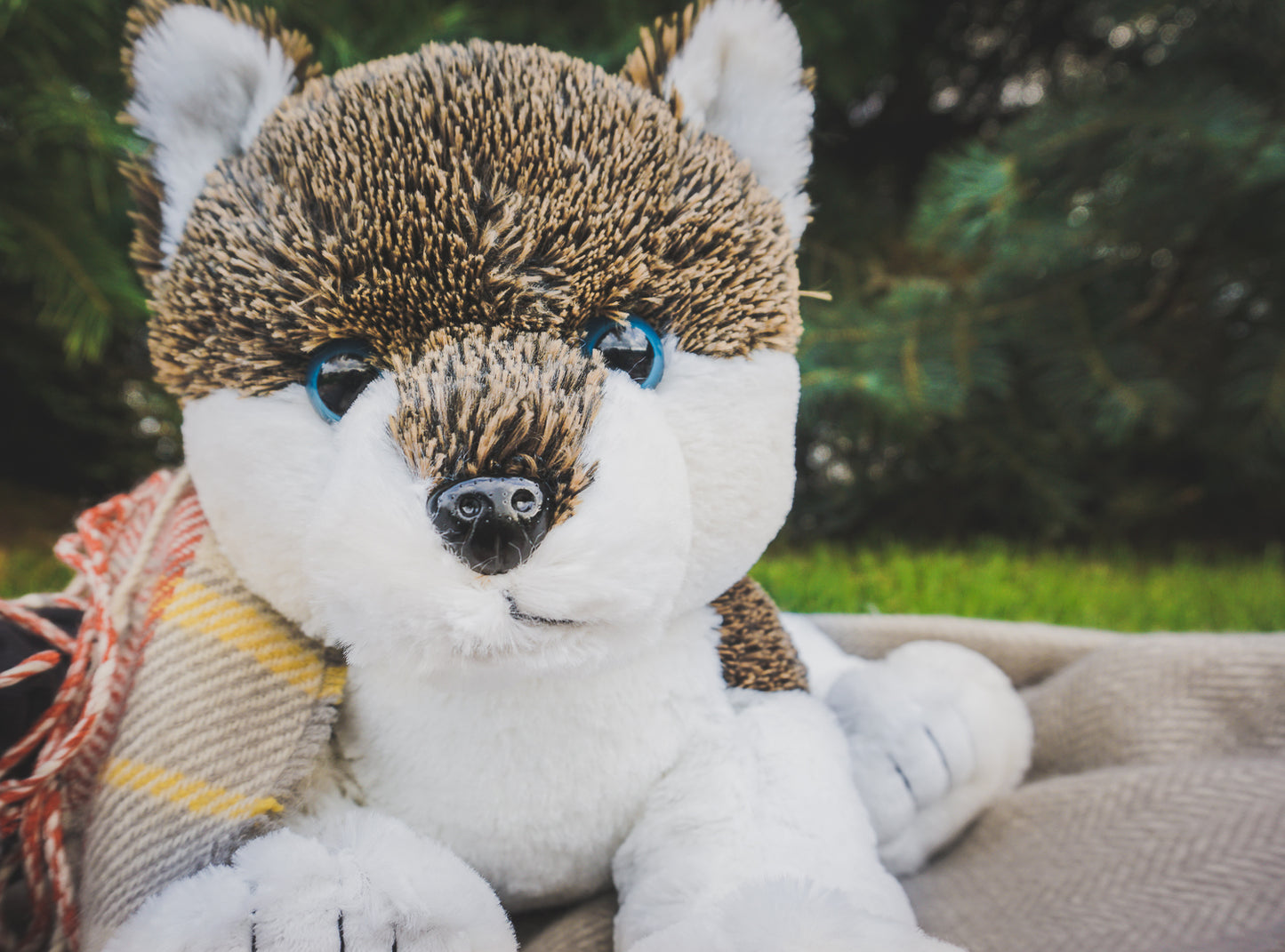 A soft, furry brown and white 16” plush wolf stuffy laying on a blanket with green pines in background. *Comes unstuffed.